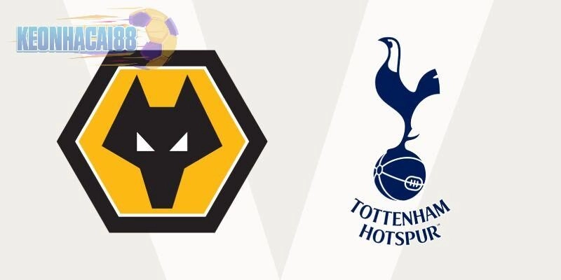 Soi kèo Wolves vs Tottenham